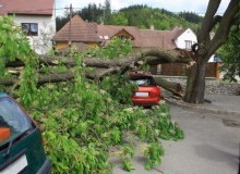 Kwikfynd Tree Cutting Services
valla