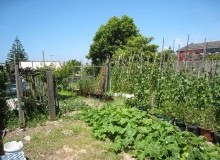 Kwikfynd Vegetable Gardens
valla